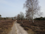 Sallandse Heuvelrug